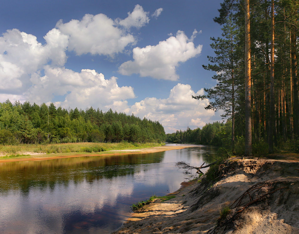 Река Клязьма песчаные берега