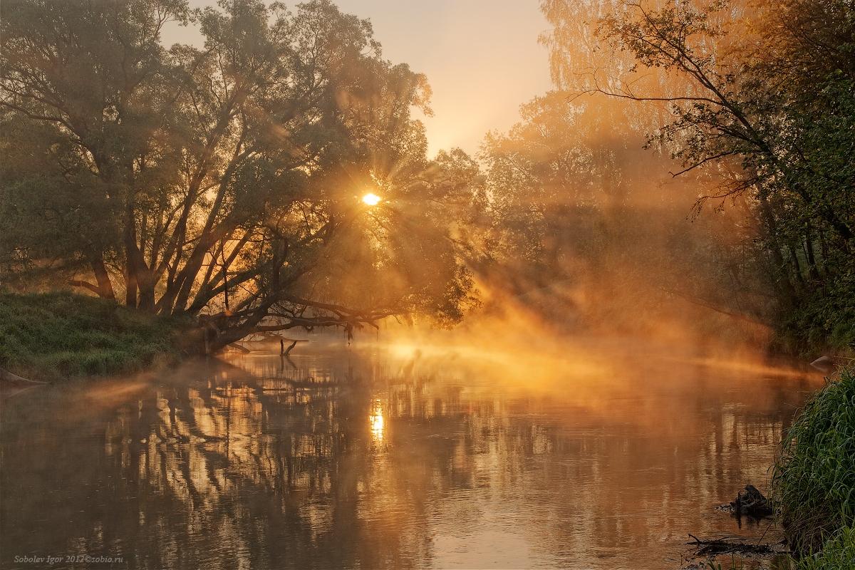Если ночью дождь напролет утром ярче заря. Утренний туман на реке. Утро природа. Рассвет на реке. Река солнце.