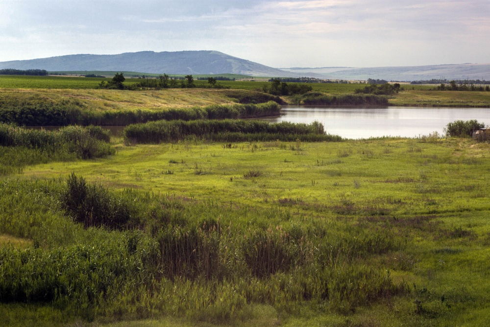 светлоград ставропольский край природа. простор ставрополь. ставрополь холмы. поля ставропольского края. просторы ставропольского края.
