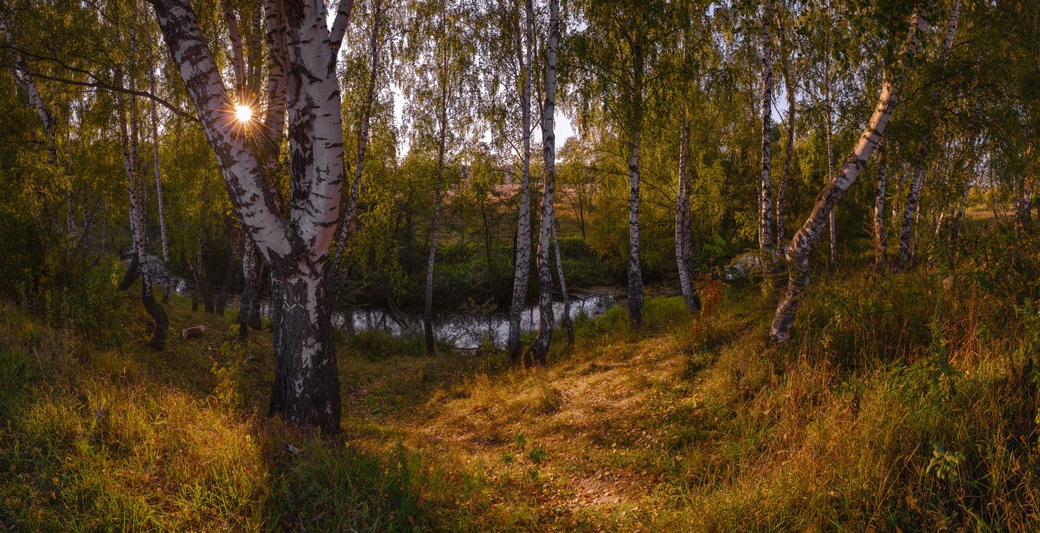 Подмосковные вечера картинки красивые