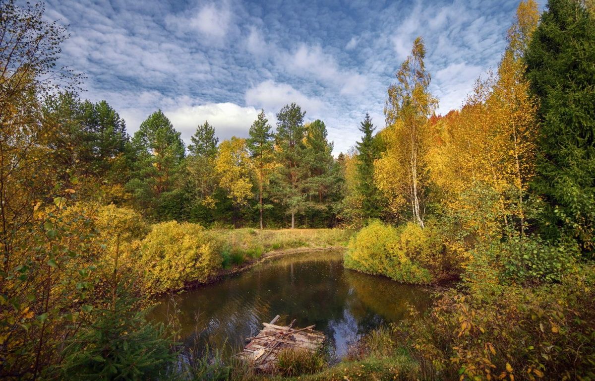 Мой маленький плот... / На маленьком плоту Сквозь бури, дождь и грозы, Взяв  только сны и грёзы, И детскую мечту, Я тихо уплыву, Лишь в дом проникнет  полночь, Чтоб рифмами наполнить Мир,