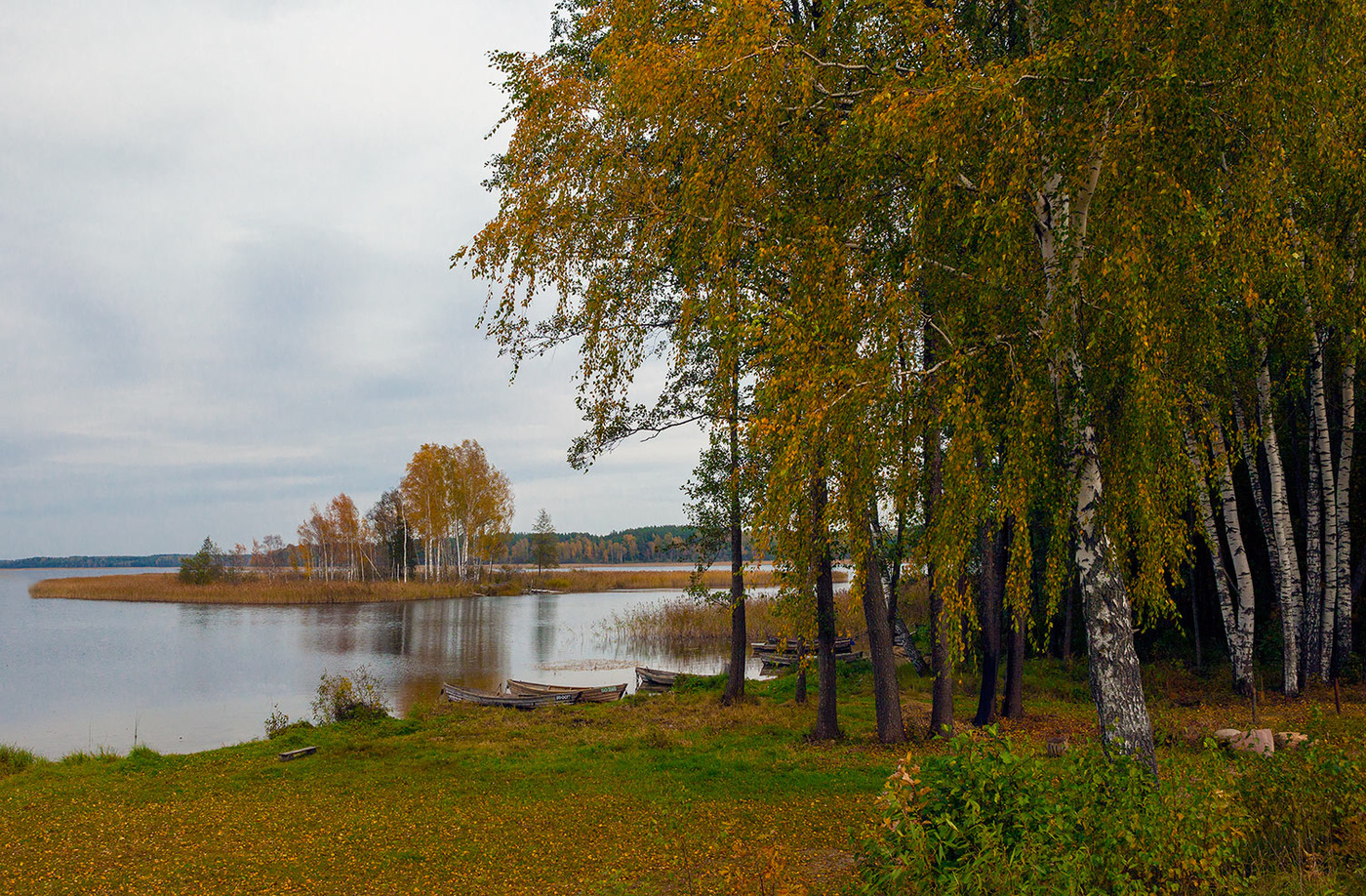 Браславские озера осенью