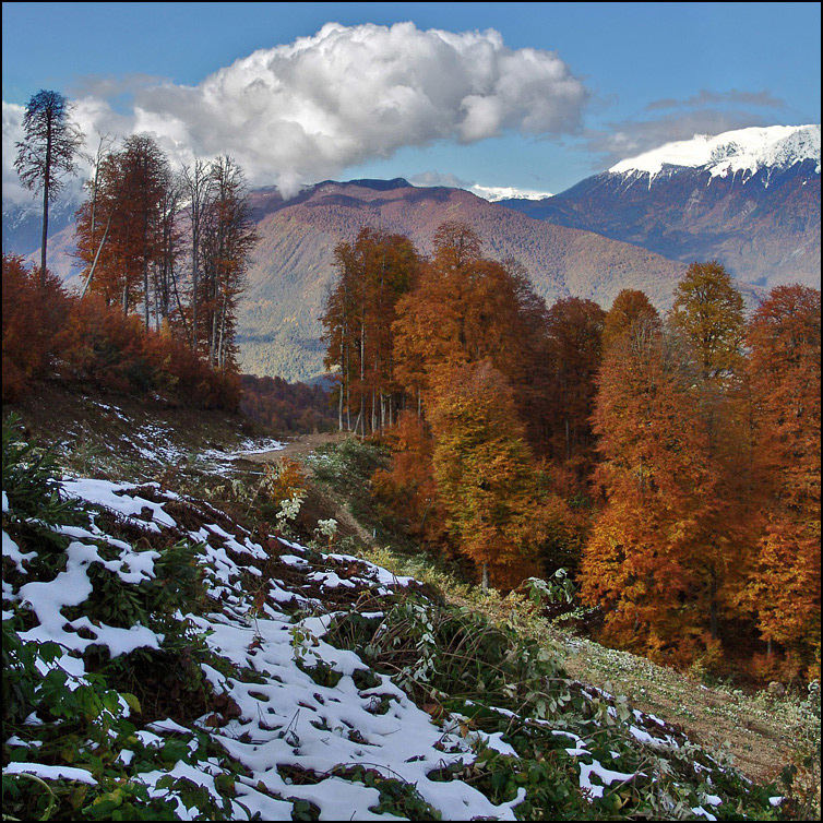 Красная Поляна горы осень