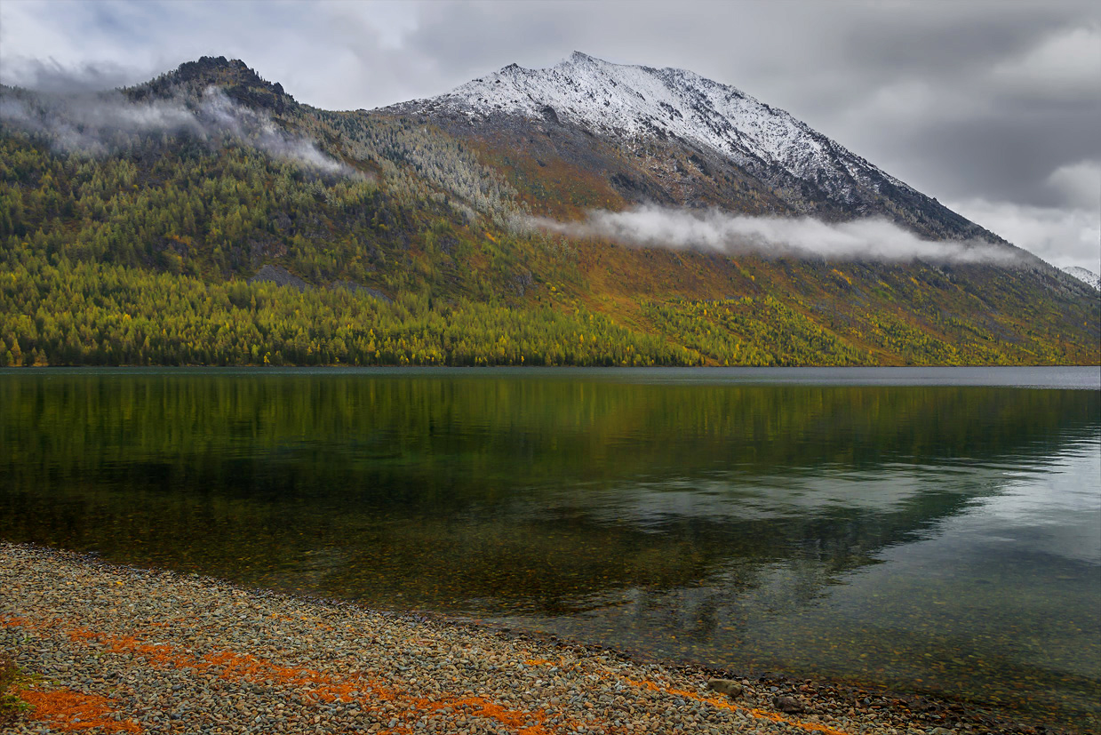 Мульта горный алтай фото