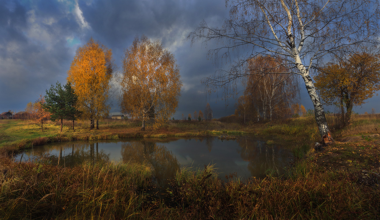 Осень В Фотографиях Известных Фотографов