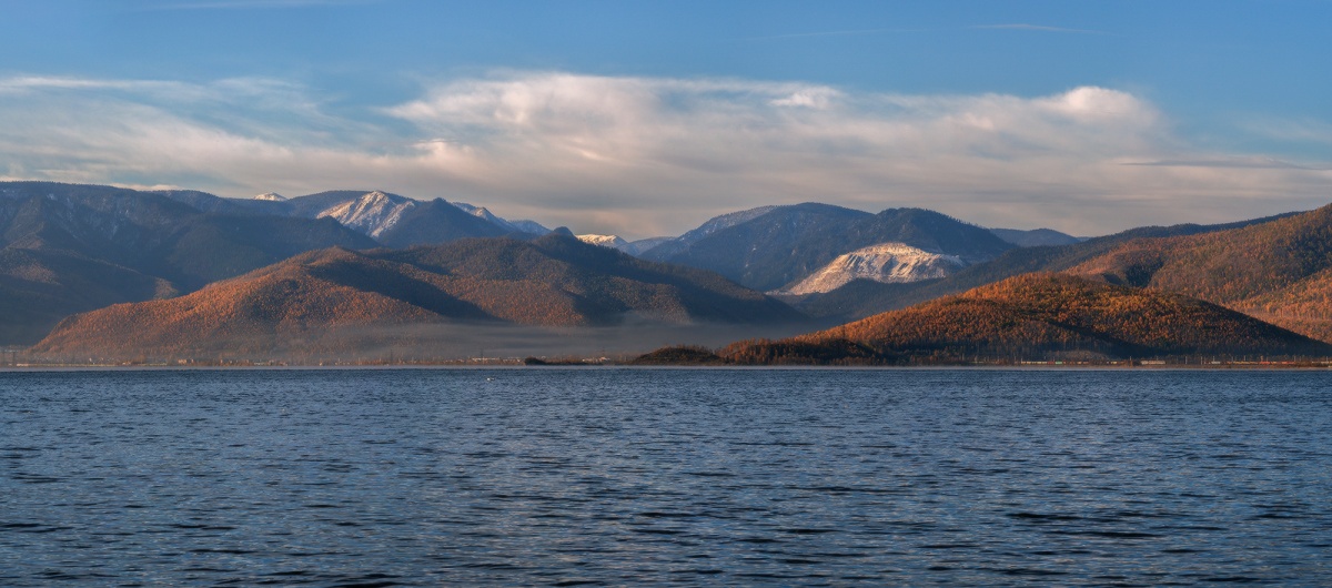 Лес Байкал Хамар Дабан