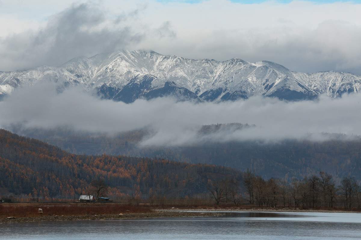 Фото зун мурино