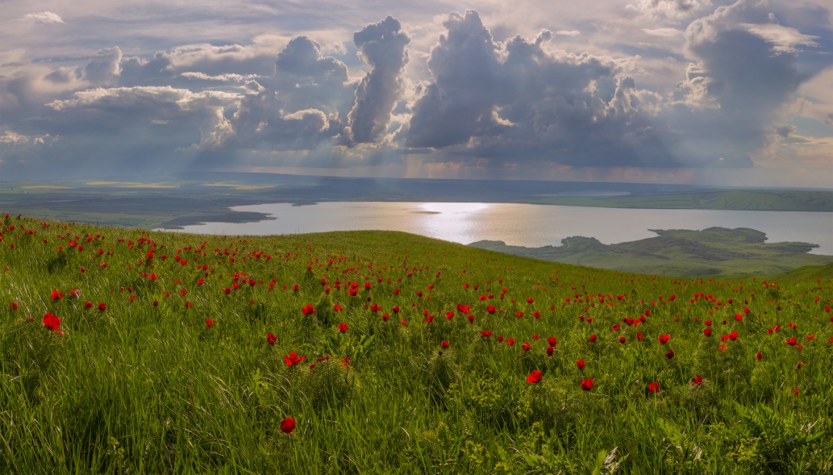 Природа ставропольского края рисунок