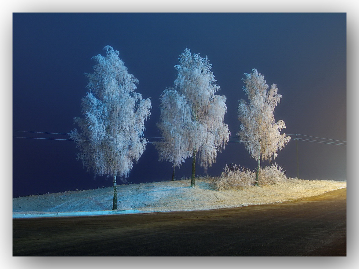 Зимний сон фотографии