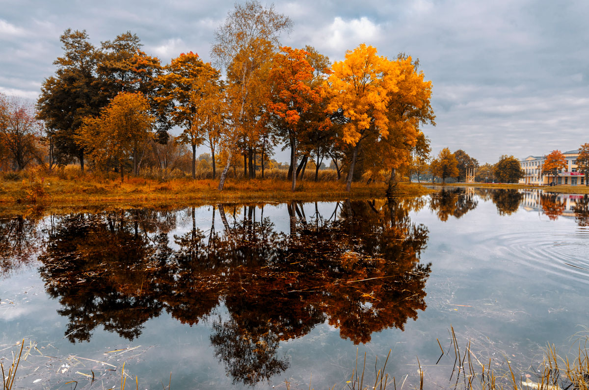 Осенняя золотая осень. Фото осень Золотая. Золотая осень видеоролик. Видеофильм осень. Осеннее видео.