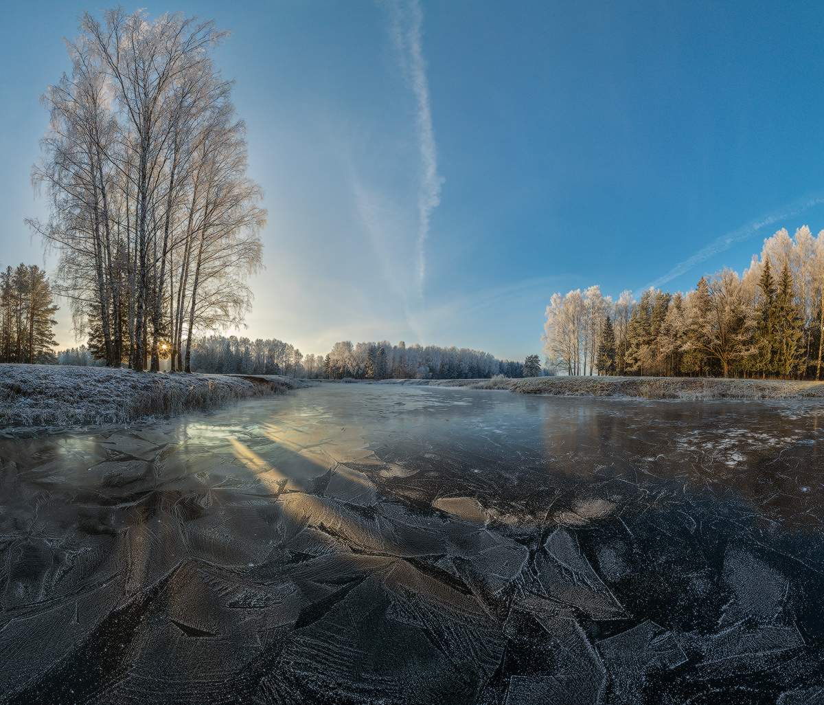 павловский парк зимой