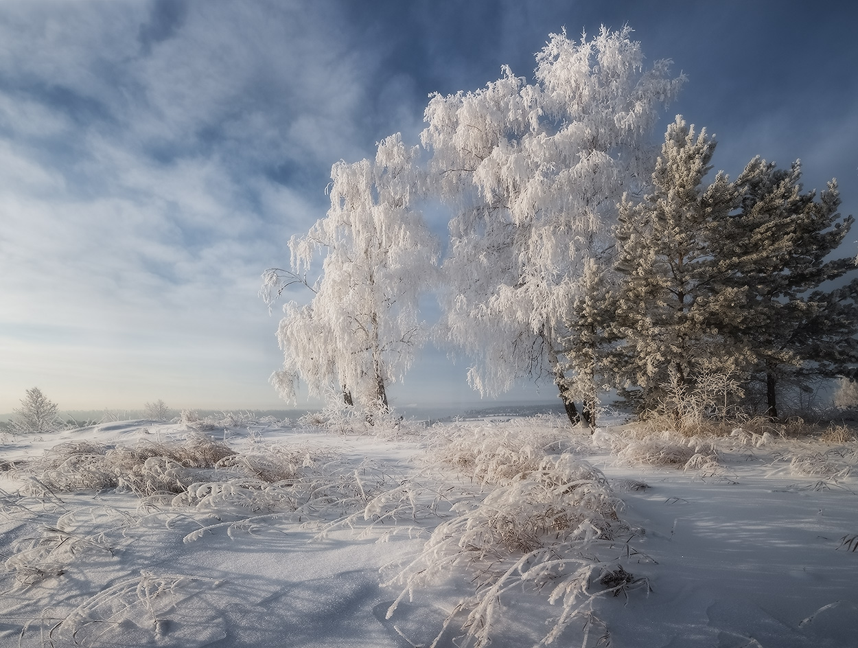 Пейзажи Сибири зимой