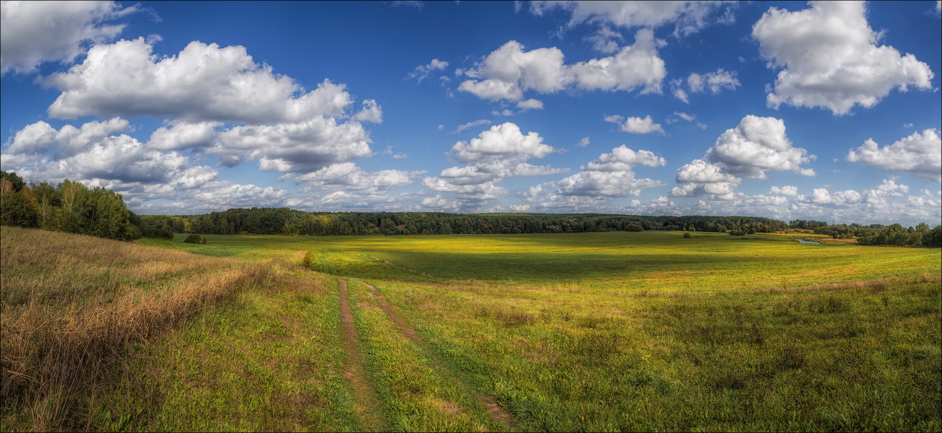Пейзажи Беларуси поля