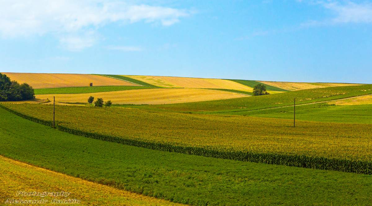 Русское раздолье фото