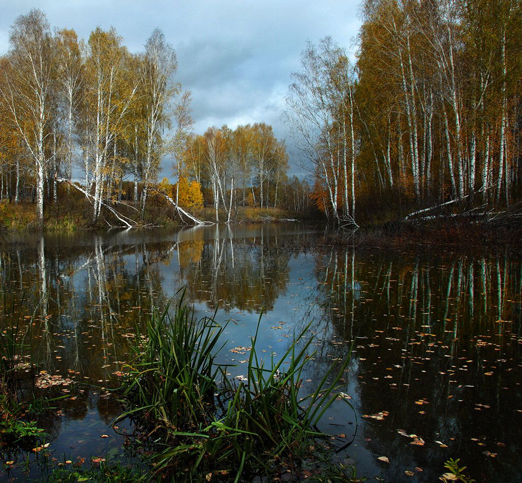 Поры автор. Осень любимая пора. Осень 2012. Осень 2012 фото. Чуть покрытая пора фото.