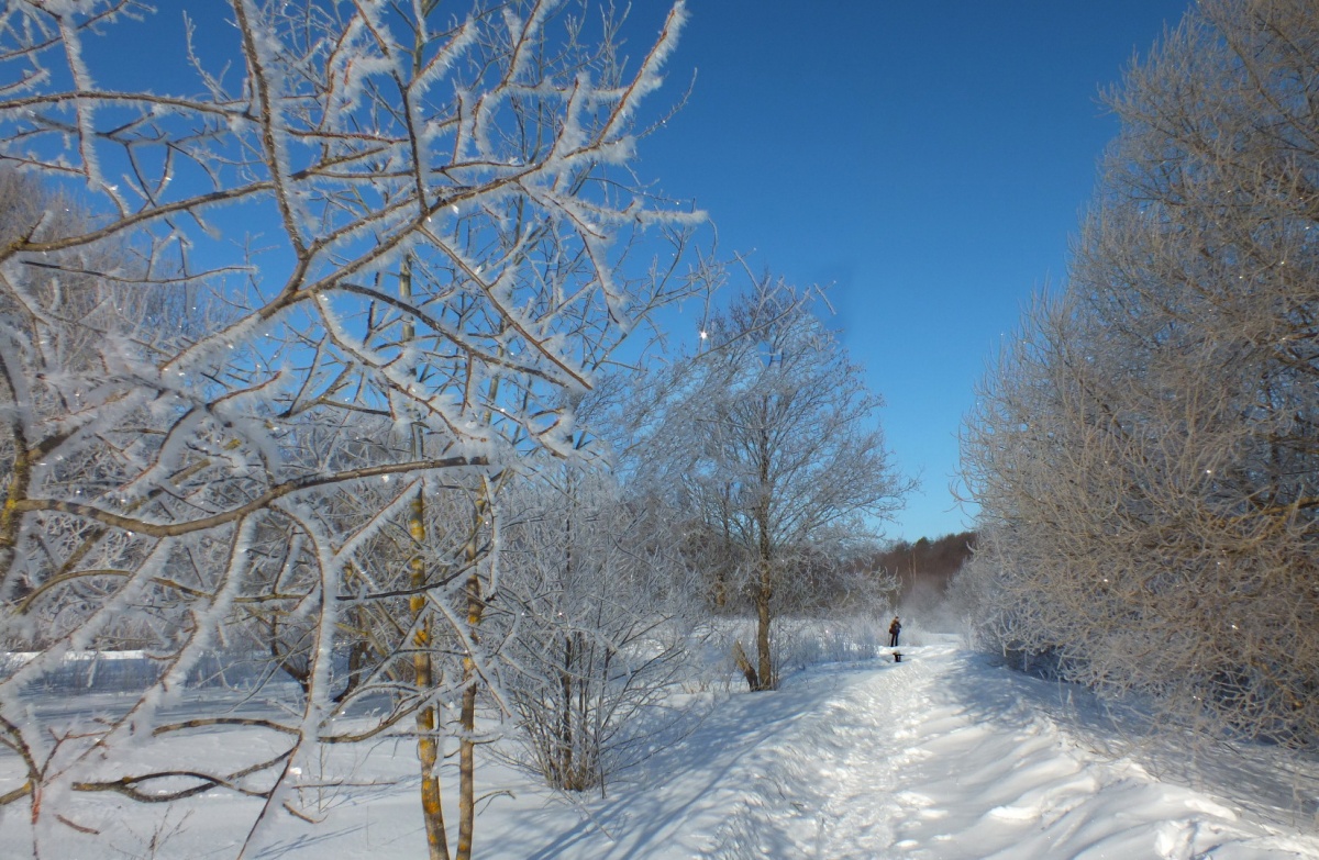 Фото веснянки минск