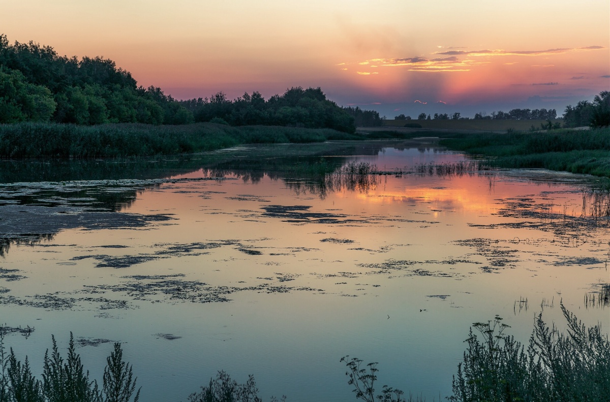 Реки тамбовской области фото