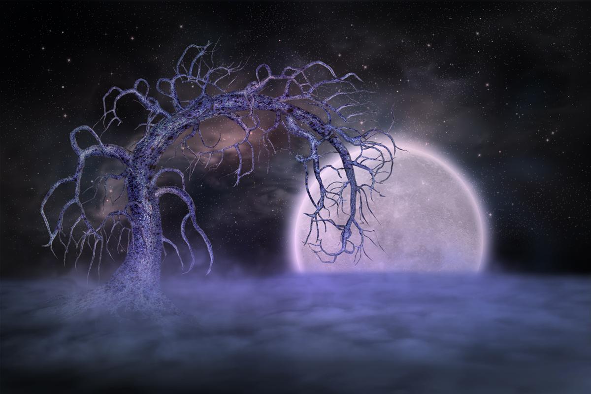 Дерево Неба / Небо фантастический манипуляции сделано с компьютером