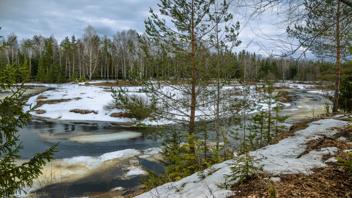 ��������� �������� ����� ������ ������� ������� ����������