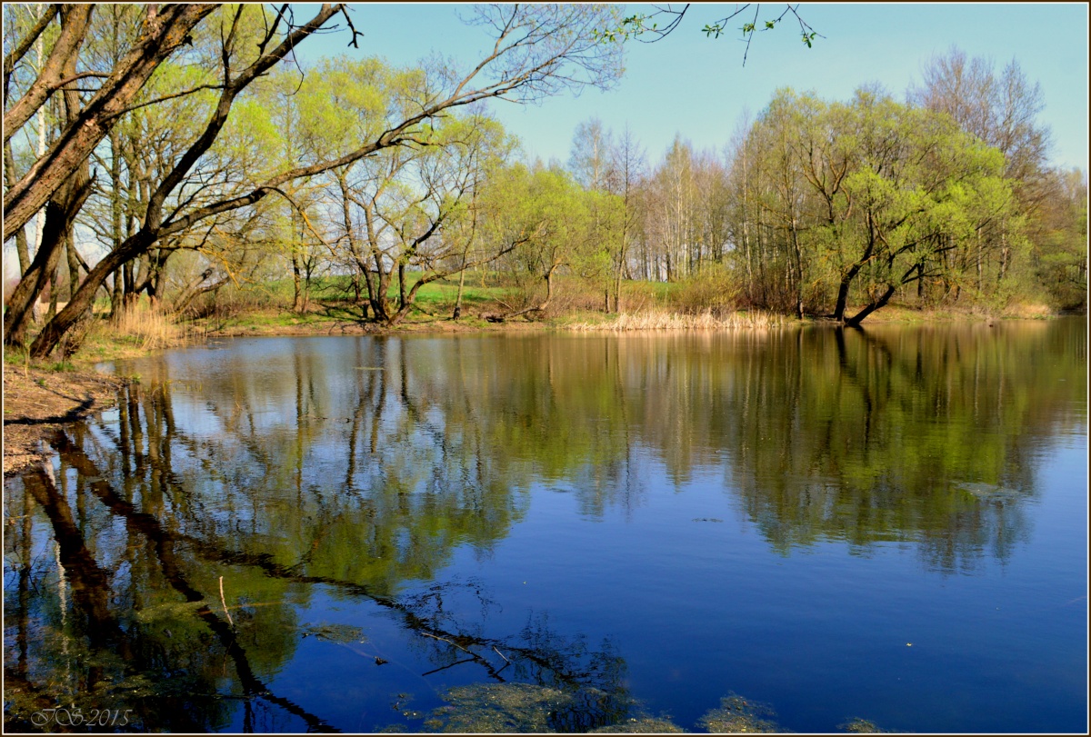 Г Белгород пруд Весна