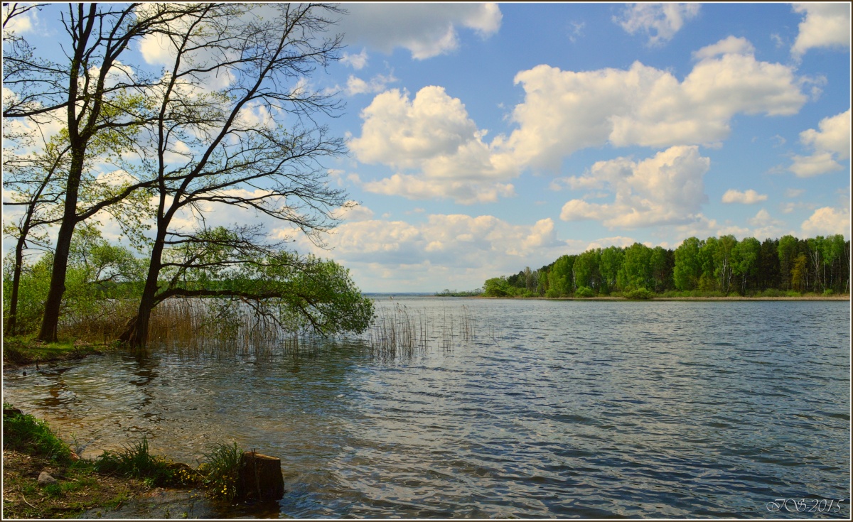 Море в Беларуси фото