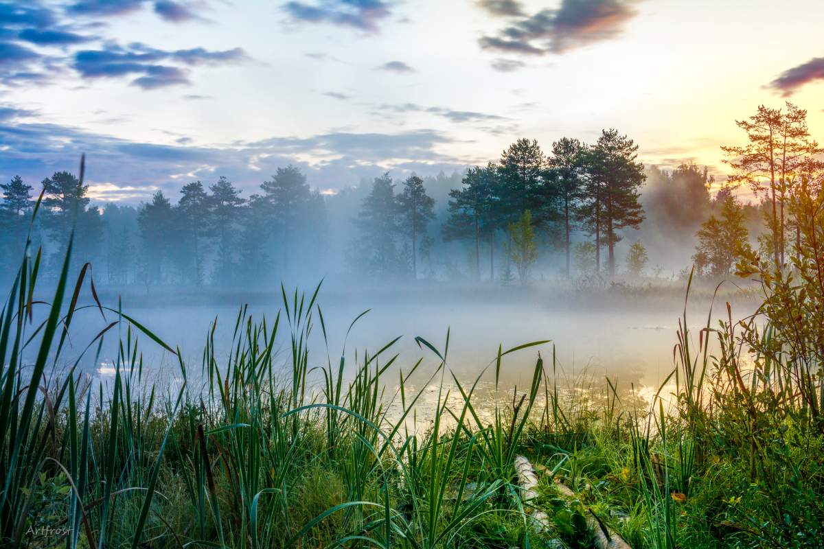 Раннее утро