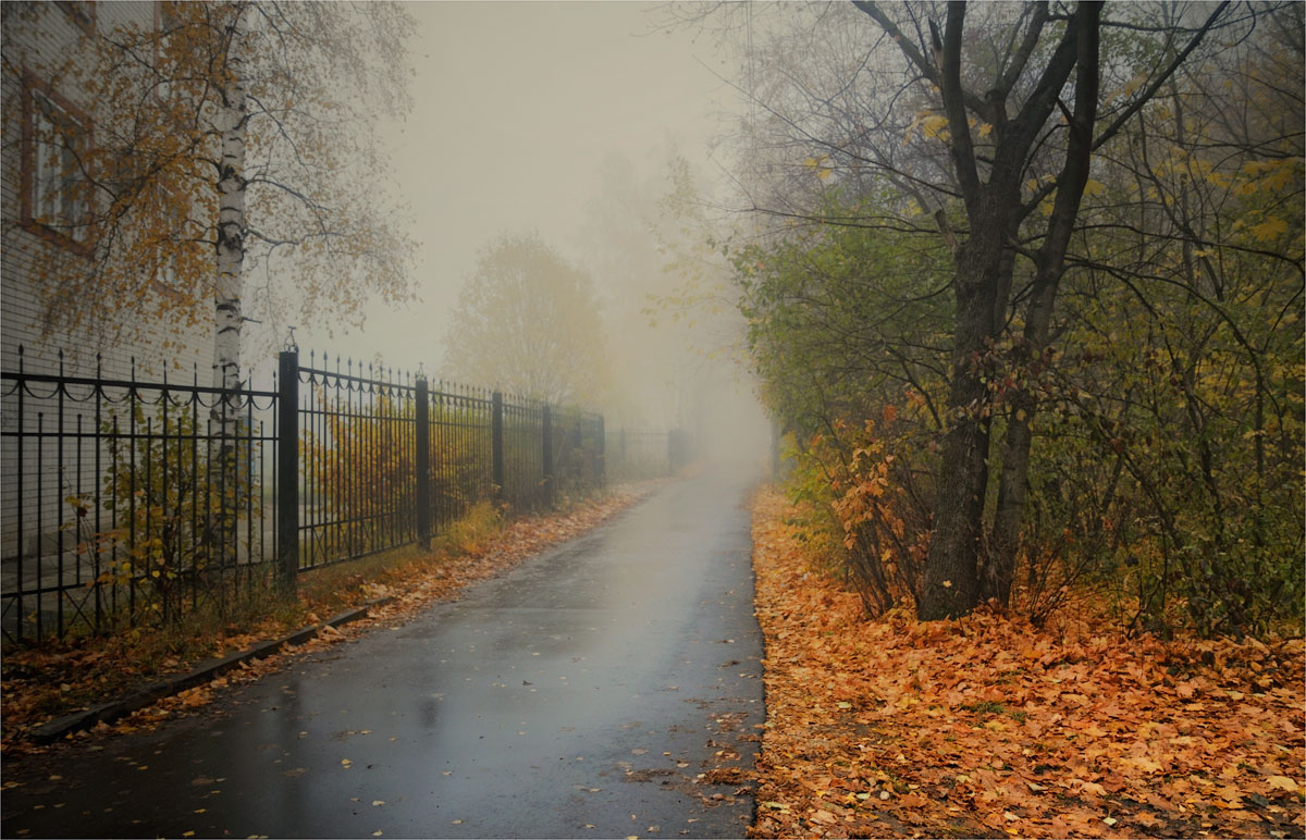 Холодная осень серый. Осенний дождь в городе. Дождливая осень. Осень дождь. Пасмурная осень в городе.