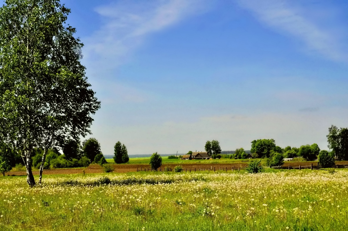 Май в деревне фото