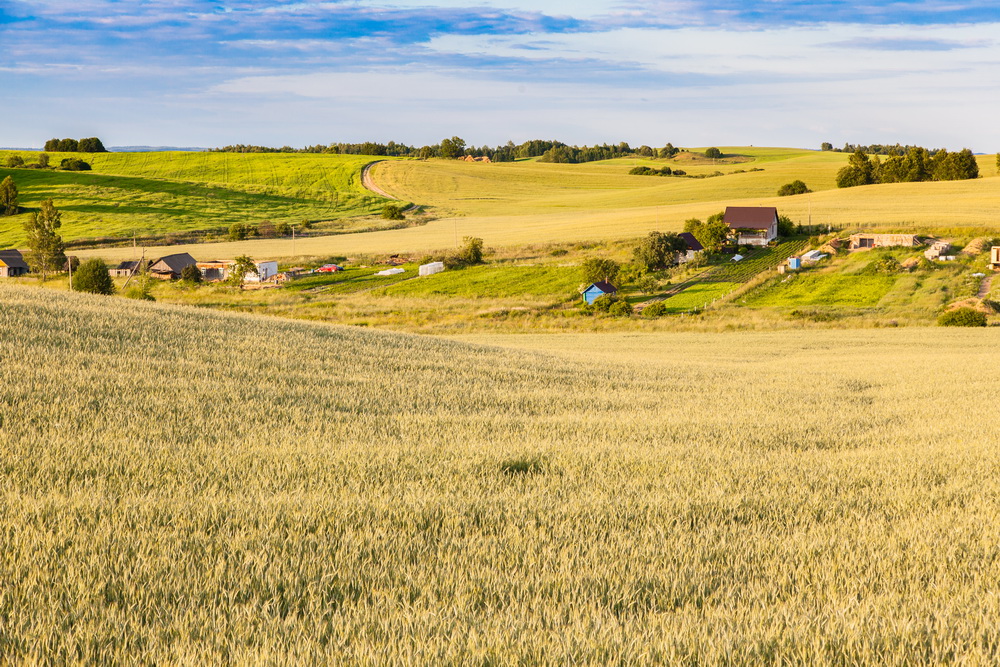 Фото полей беларуси