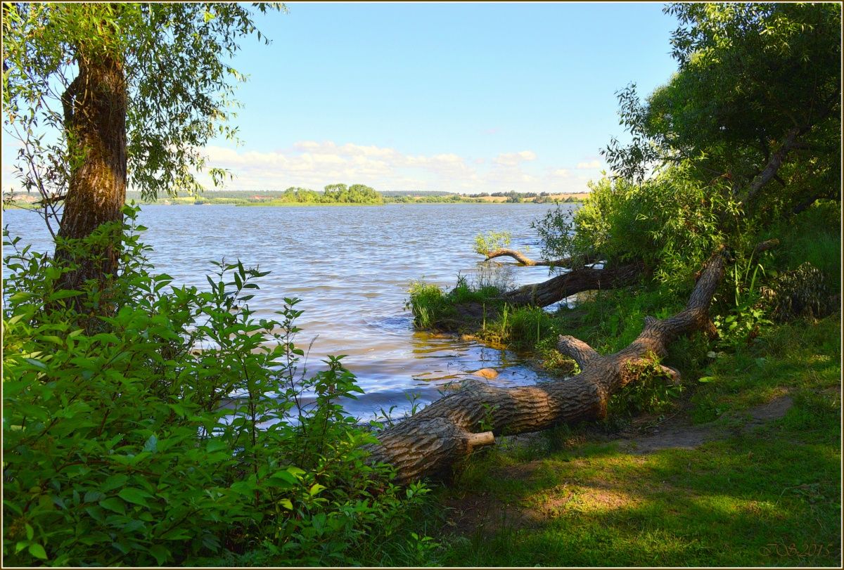 Быстрое место на реке. Заславское водохранилище. Заславское водохранилище Минск. Минское море в Белоруссии. Красивые места для рыбалки.