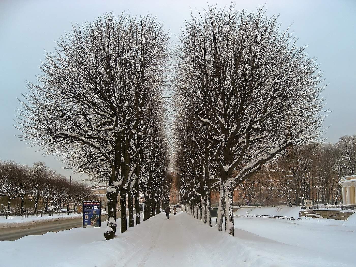 Аллея сердец санкт петербург. Аллея сердец спб. Деревья в форме сердца в питере. Аллея набережной реки мойки около марсового поля. Аллея в виде сердца спб.