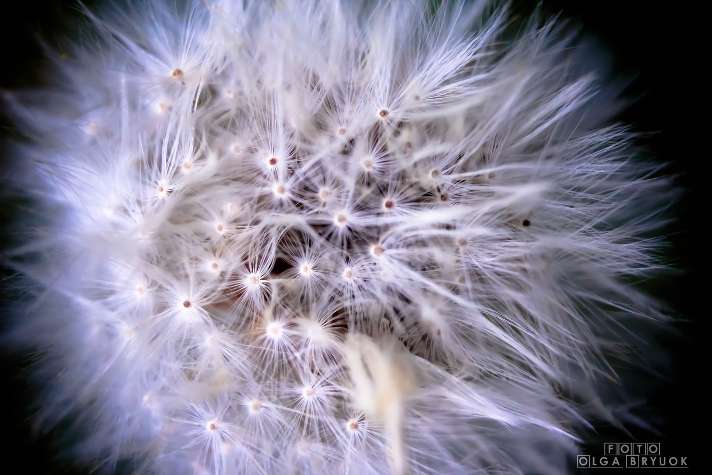 легкость / кэнон эос 60д 1855