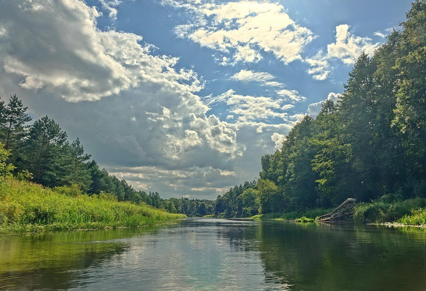 Река сегодня. Березина (Нижний приток Днепра). Река Березина. Река Березина приток Днепра. Река Неман и Березина.