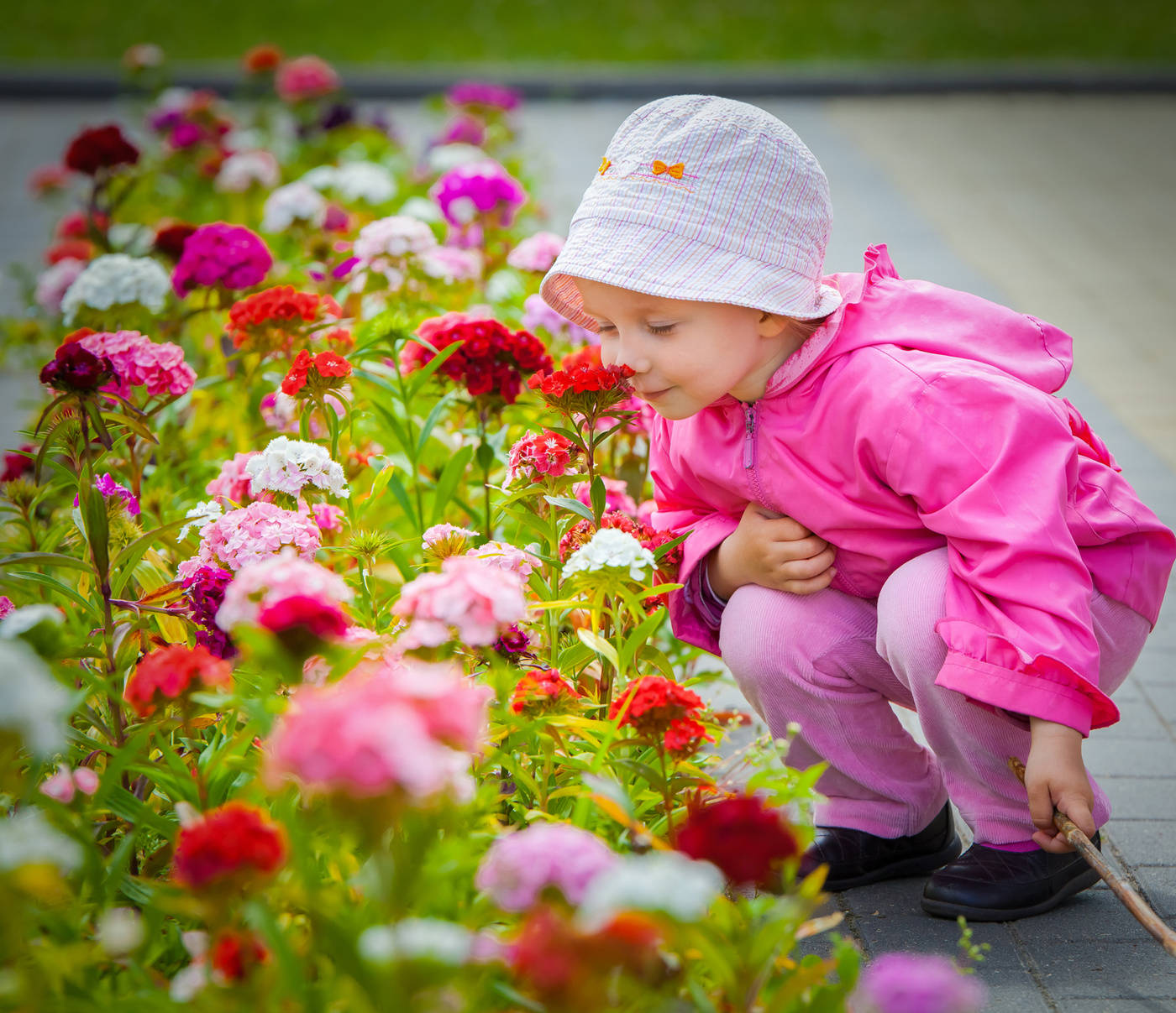 Дети вырастили цветы. Дети с цветами. Цветы для детей. Девочка с цветами. Цветы сада для детей.
