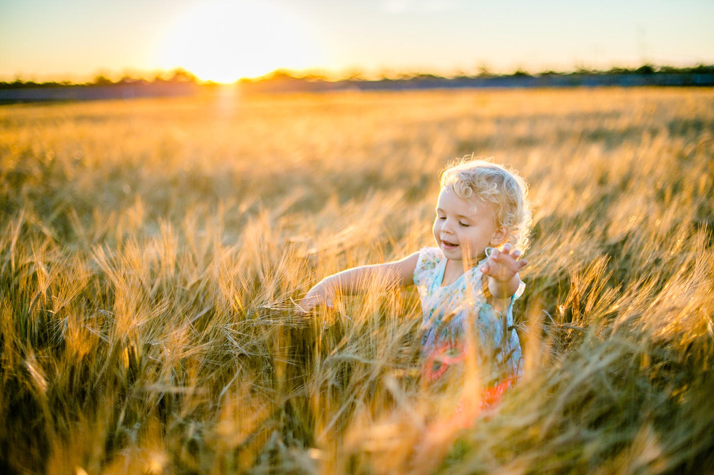 Ребенок в поле пшеницы