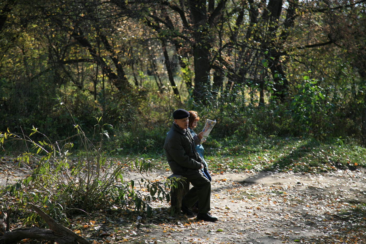 Осень жизни