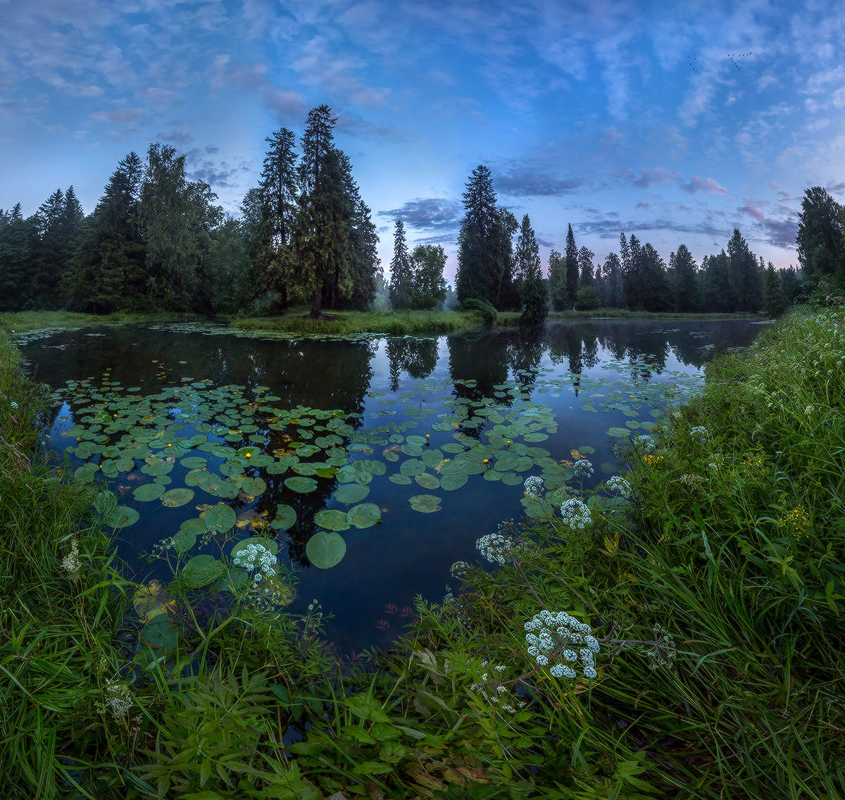 Фото на пруду