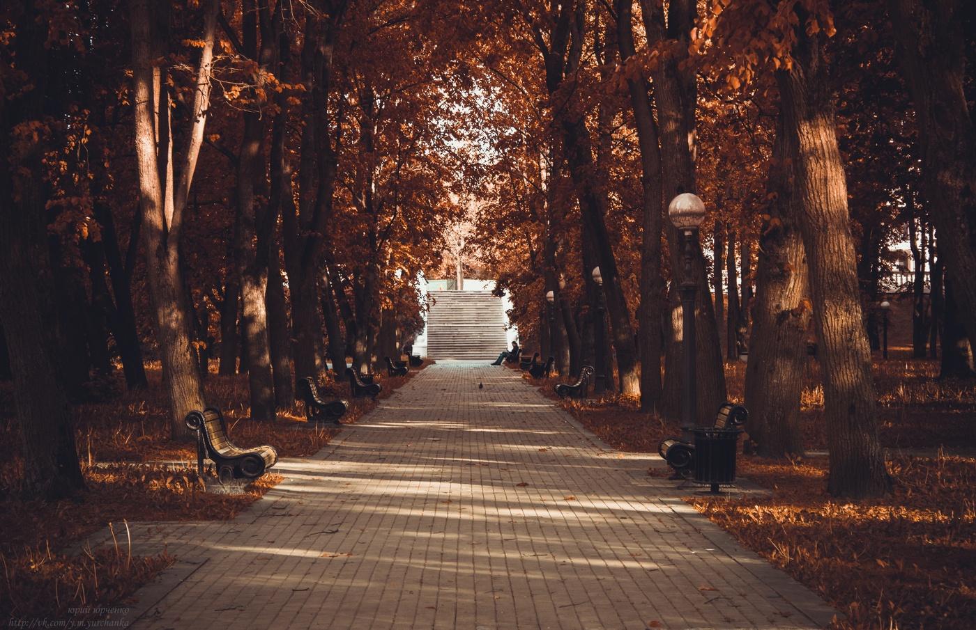 Осенний парк Эстетика