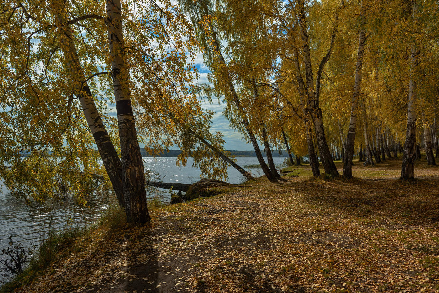 осень на берегу озера