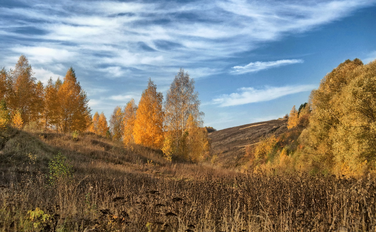 Золотая осень средняя. Осенний лес средней полосы. Осень в средней полосе России. Осенние пейзажи средней полосы России. Пейзаж осенний средней полосы.