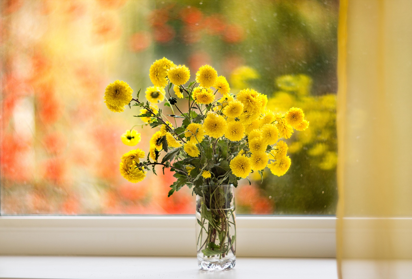 Желтое доброе утро картинки. Цветы на окне. Солнечный цветок. Яркие солнечные цветы. Желтые цветы в вазе.