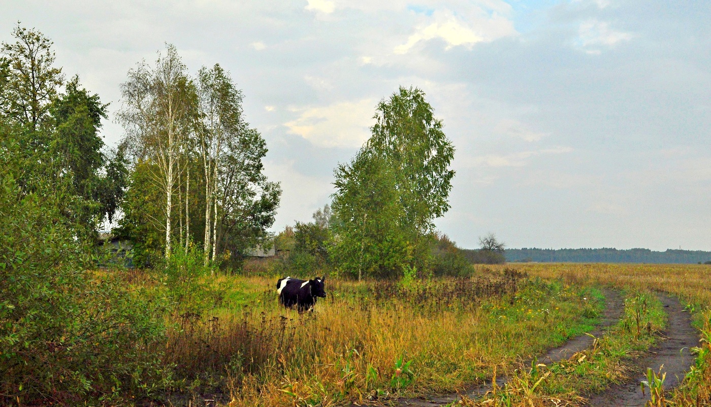 Деревня в далеке фото