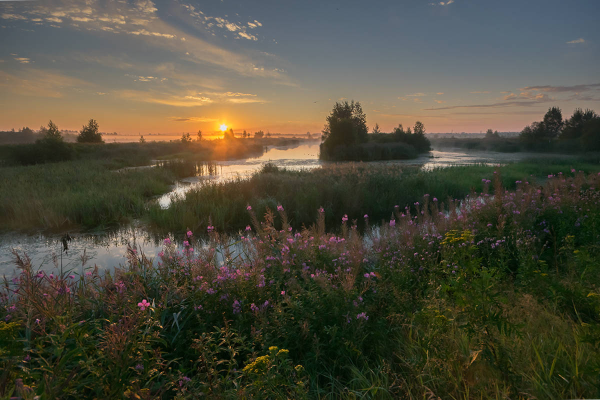 Раннее утро на природе. Рассвет Альметьевск лето. Рассвет летом. Утренний пейзаж. Пейзаж рассвет.
