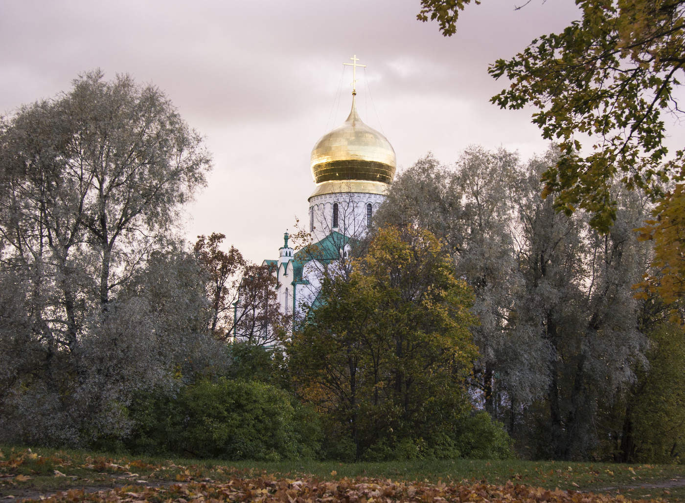 Купола осенью фото