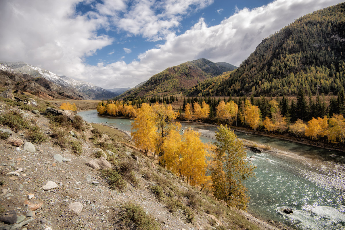на берегу чуя фото. на берегу чуя. на берегу чуя. река чуй киргизия. республика это.