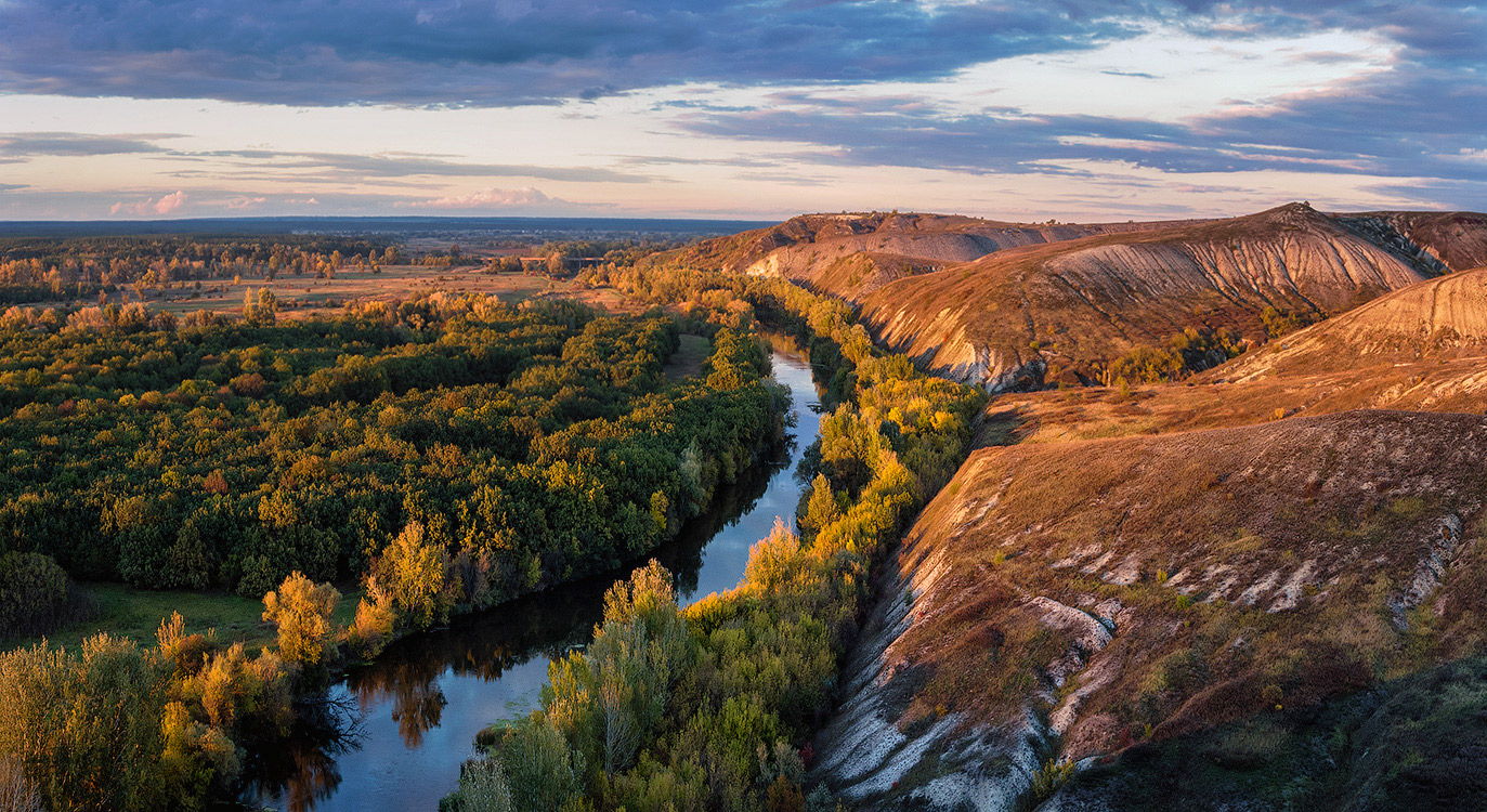 Фото кривая лука