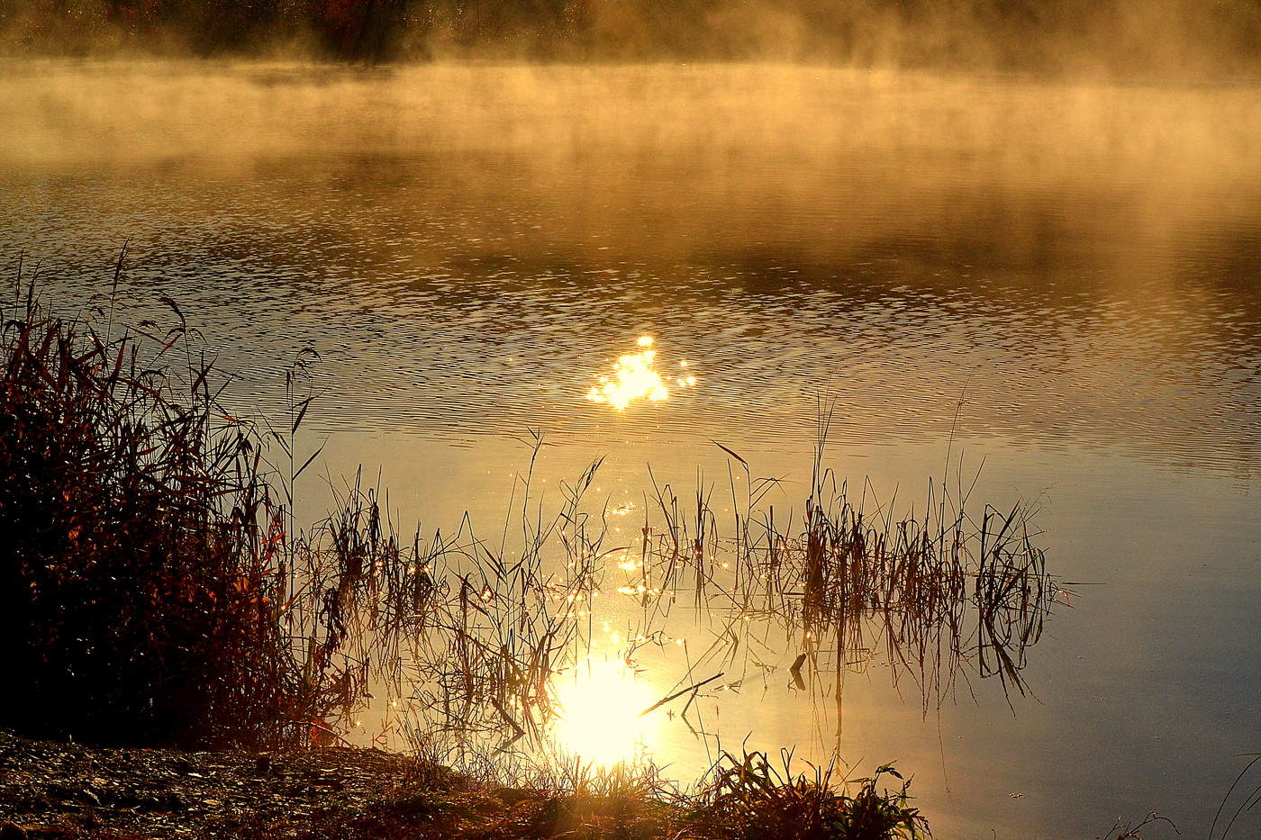 Осень озеро рассвет
