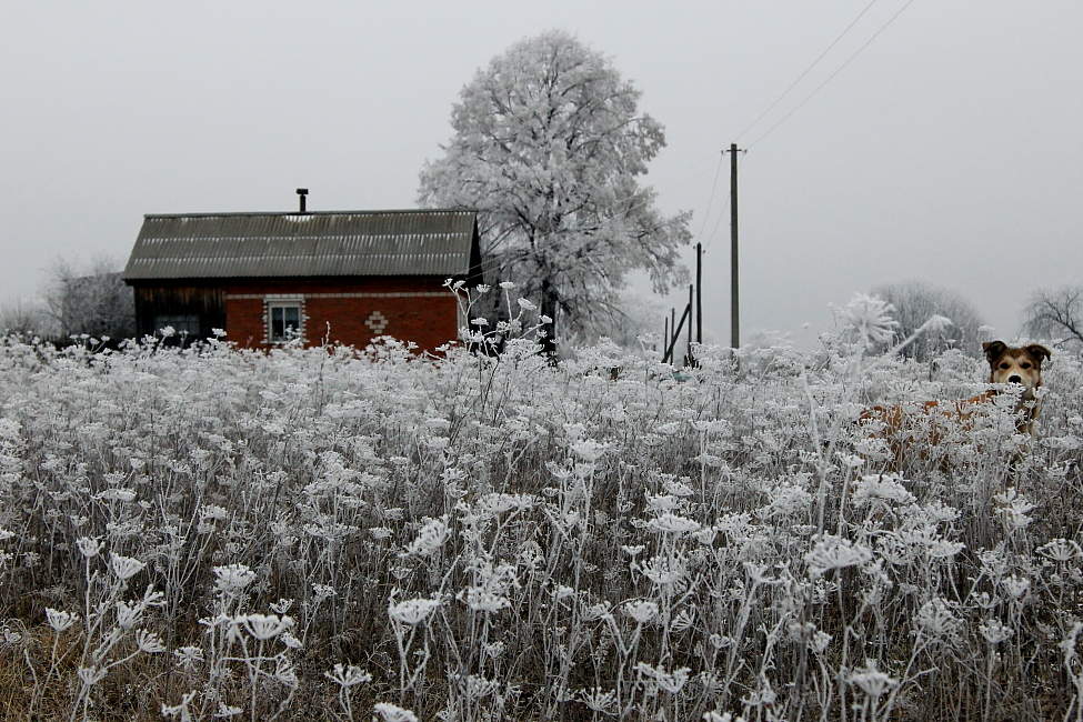 Снег в деревне фото