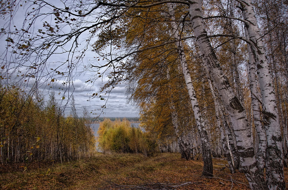 Осень средней полосы россии фото