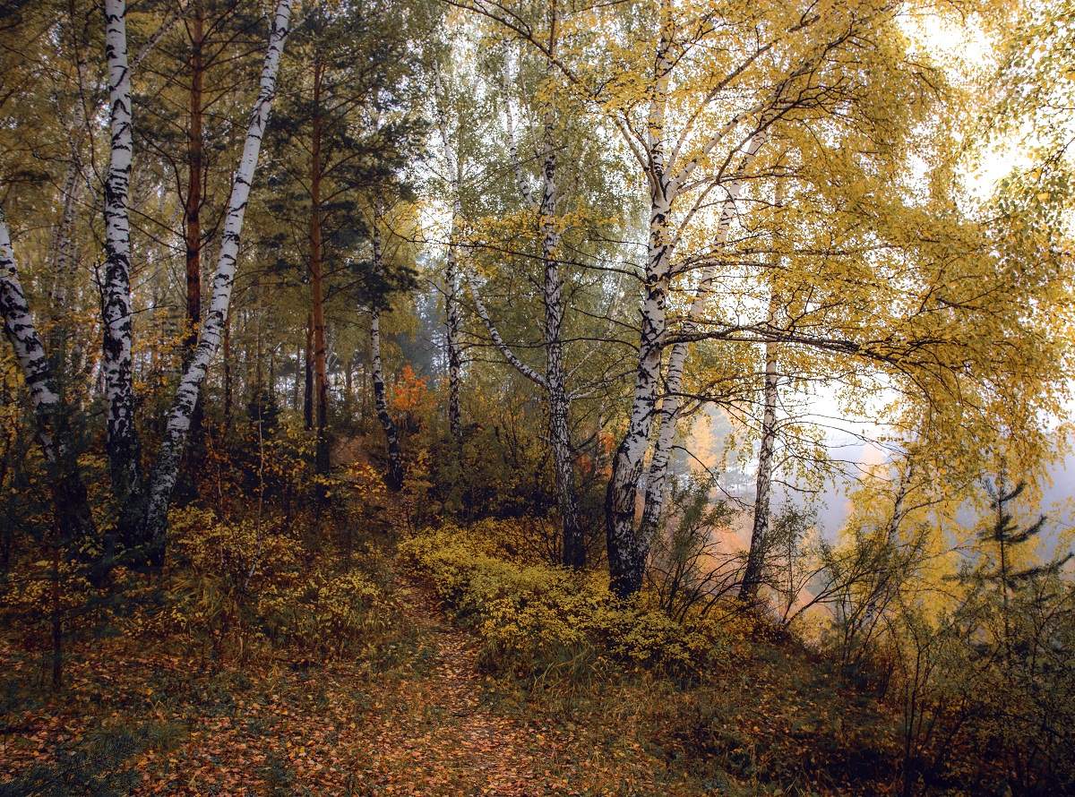 Поленов «осень в Абрамцеве», 1890 .